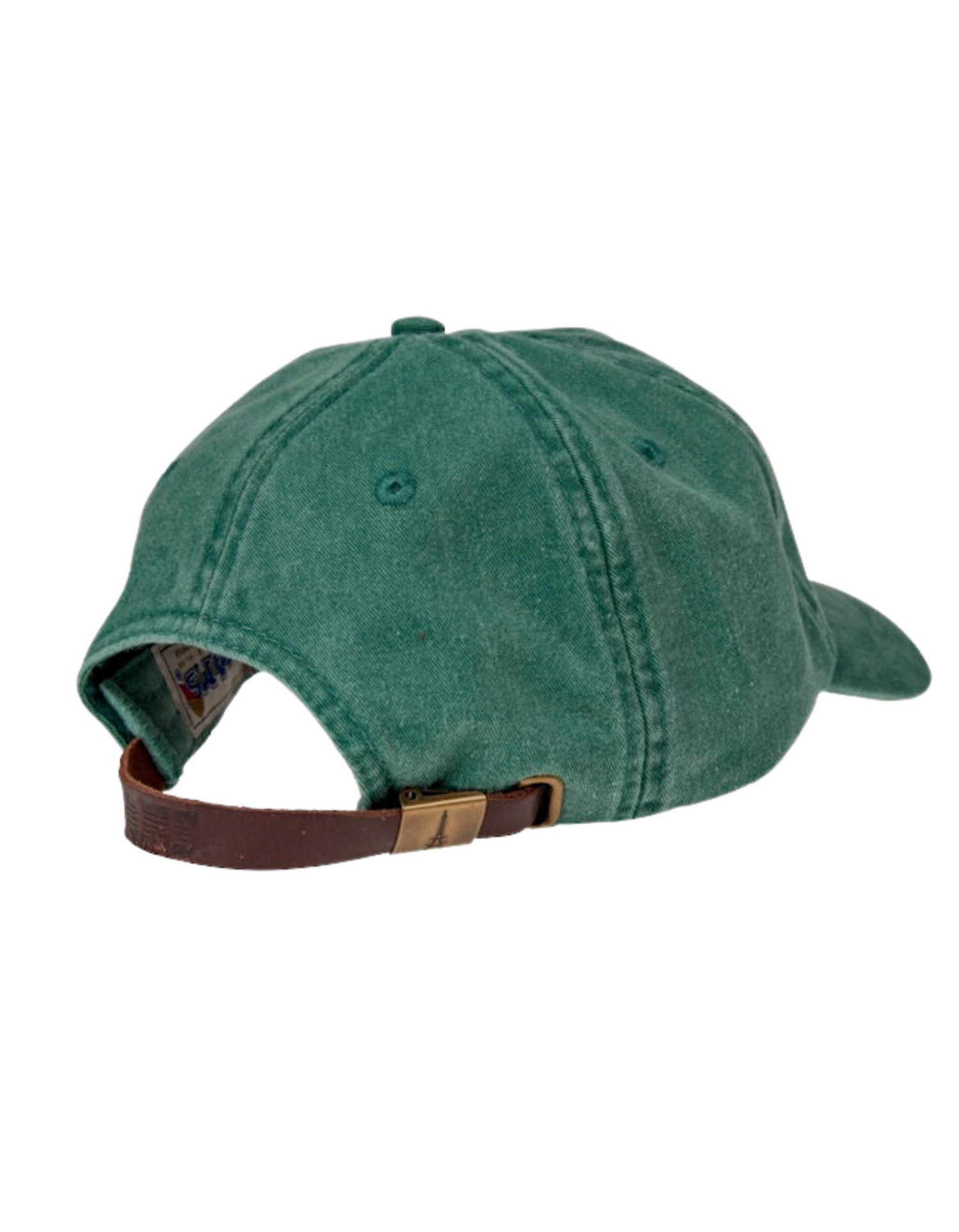 Skink Embroidered Cap