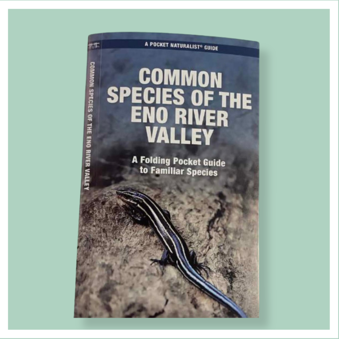 Common Species of the Eno River Valley Handbook
